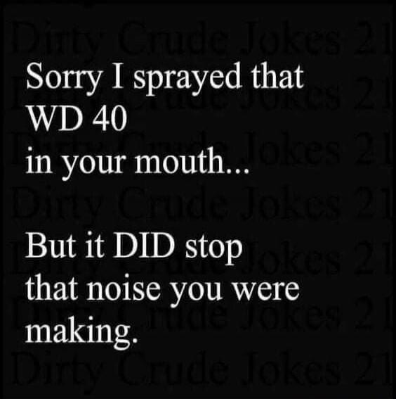 Sorry I sprayed that WD 40 in your mouth... But it DID stop that noise you were making.