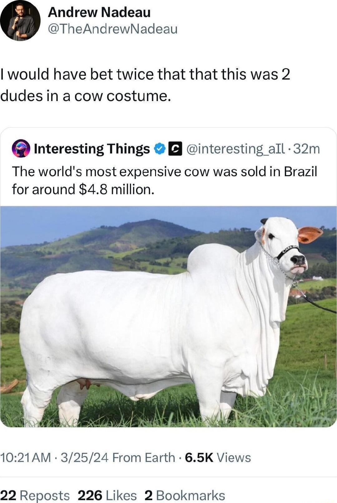 Andrew Nadeau TheAndrewNadeau would have bet twice that that this was 2 dudes in a cow costume 0 Interesting Things interesting all 32m The worlds most expensive cow was sold in Brazil for around 48 million 1021AM 32524 From Earth 65K Views 22 Reposts 226 Likes 2 Bookmarks