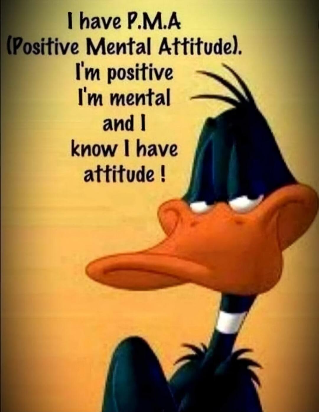 I have P.M.A (Positive Mental Attitude). I'm positive I'm mental and I know I have attitude!