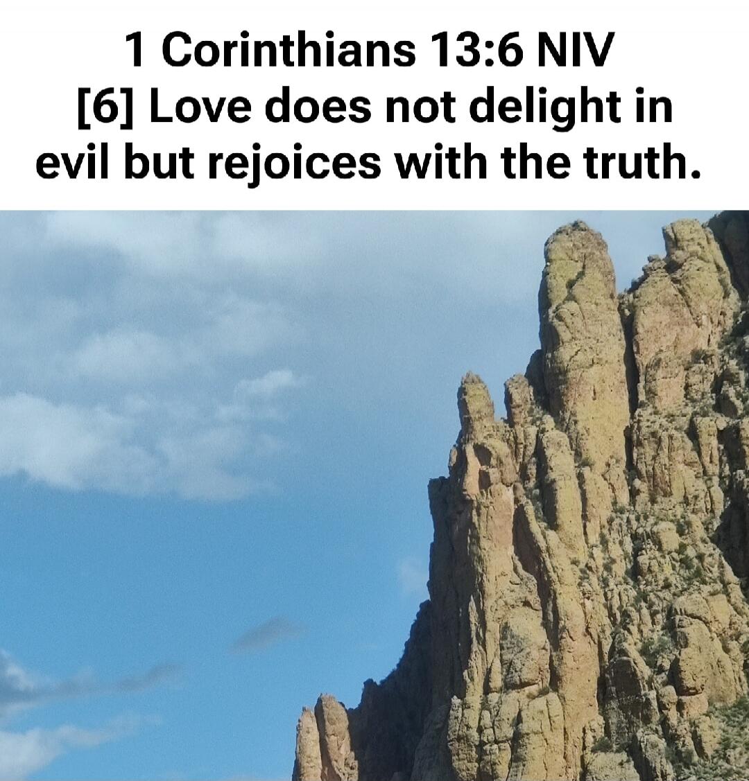 1 Corinthians 13:6 NIV [6] Love does not delight in evil but rejoices with the truth.
