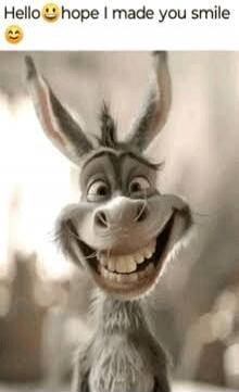Hello hope I made you smile