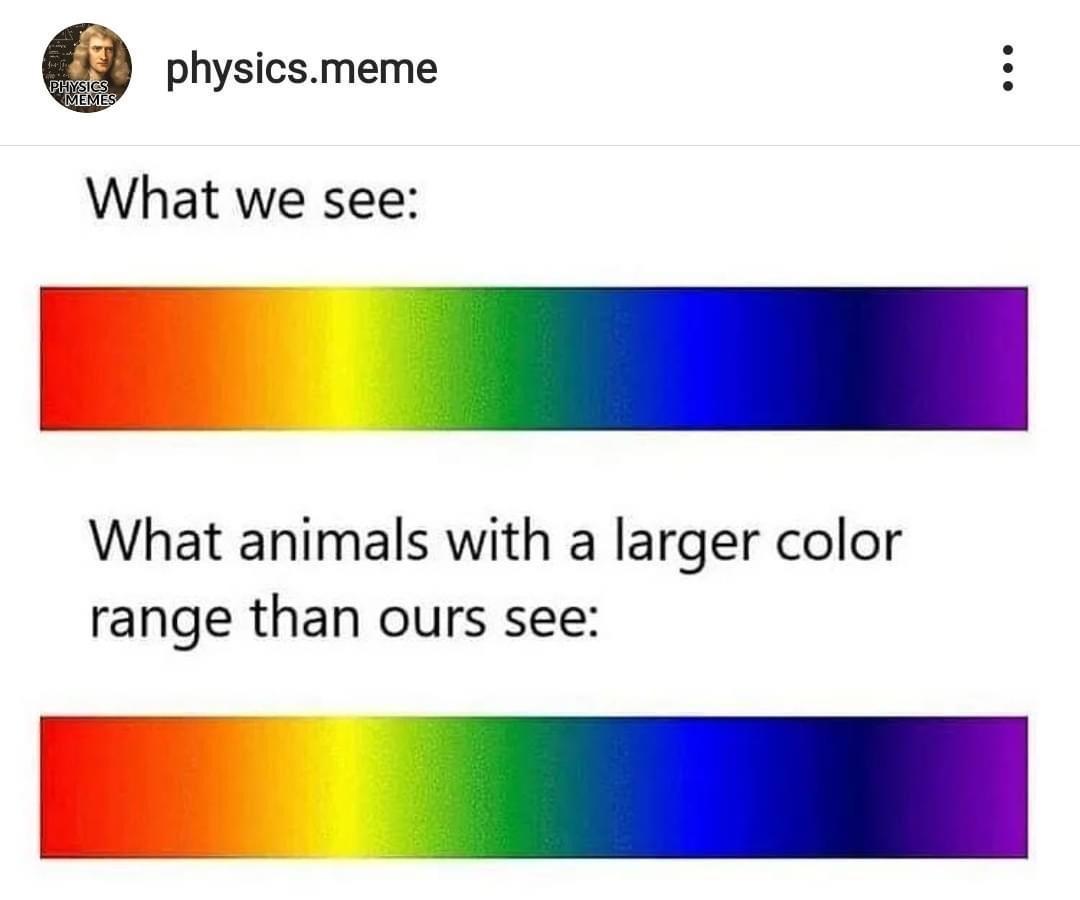 physicsmeme What we see What animals with a larger color range than ours see