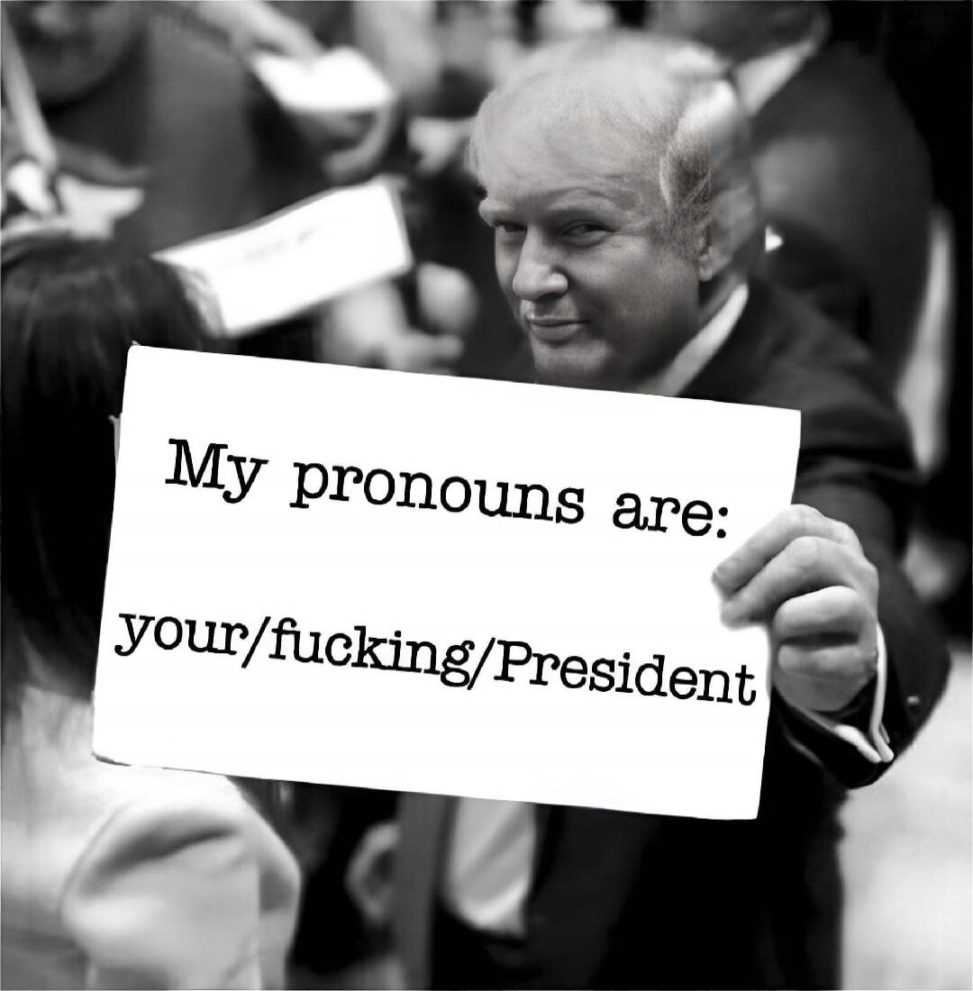 My pronouns are:
your/fucking/President