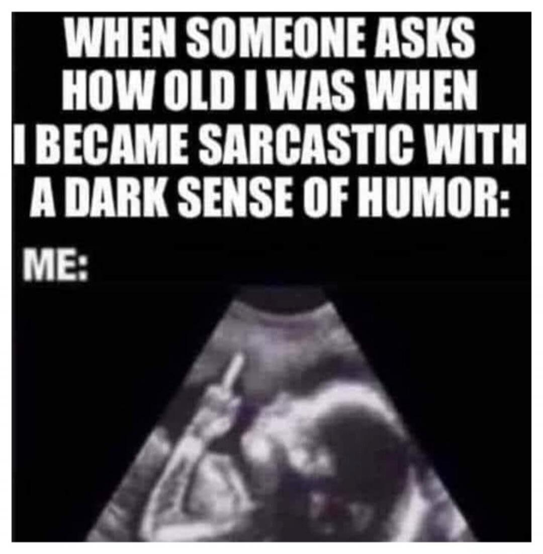 WHEN SOMEONE ASKS HOW OLD I WAS WHEN I BECAME SARCASTIC WITH A DARK SENSE OF HUMOR: ME:
