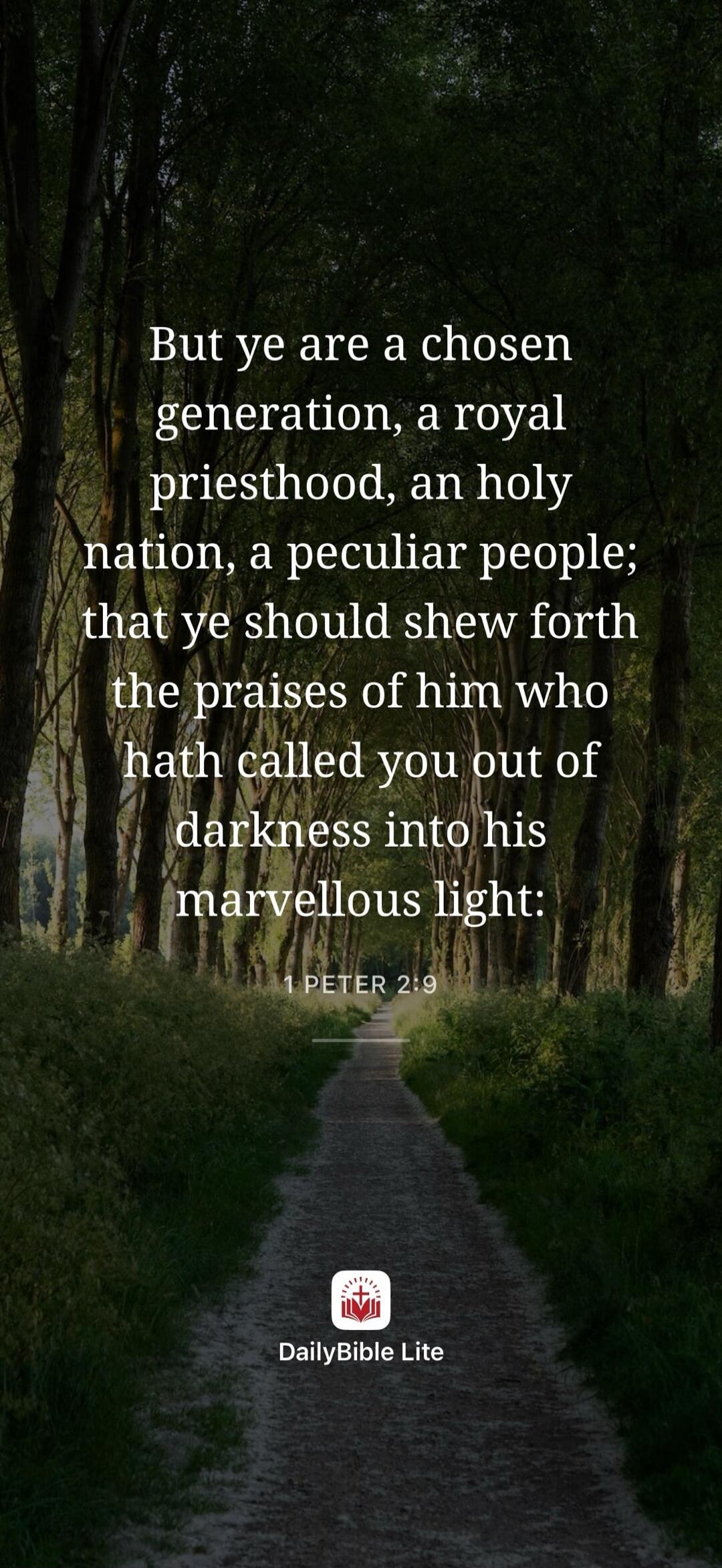 But ye are a chosen generation, a royal priesthood, an holy nation, a peculiar people; that ye should shew forth the praises of him who hath called you out of darkness into his marvellous light: 1 PETER 2:9 DailyBible Lite
