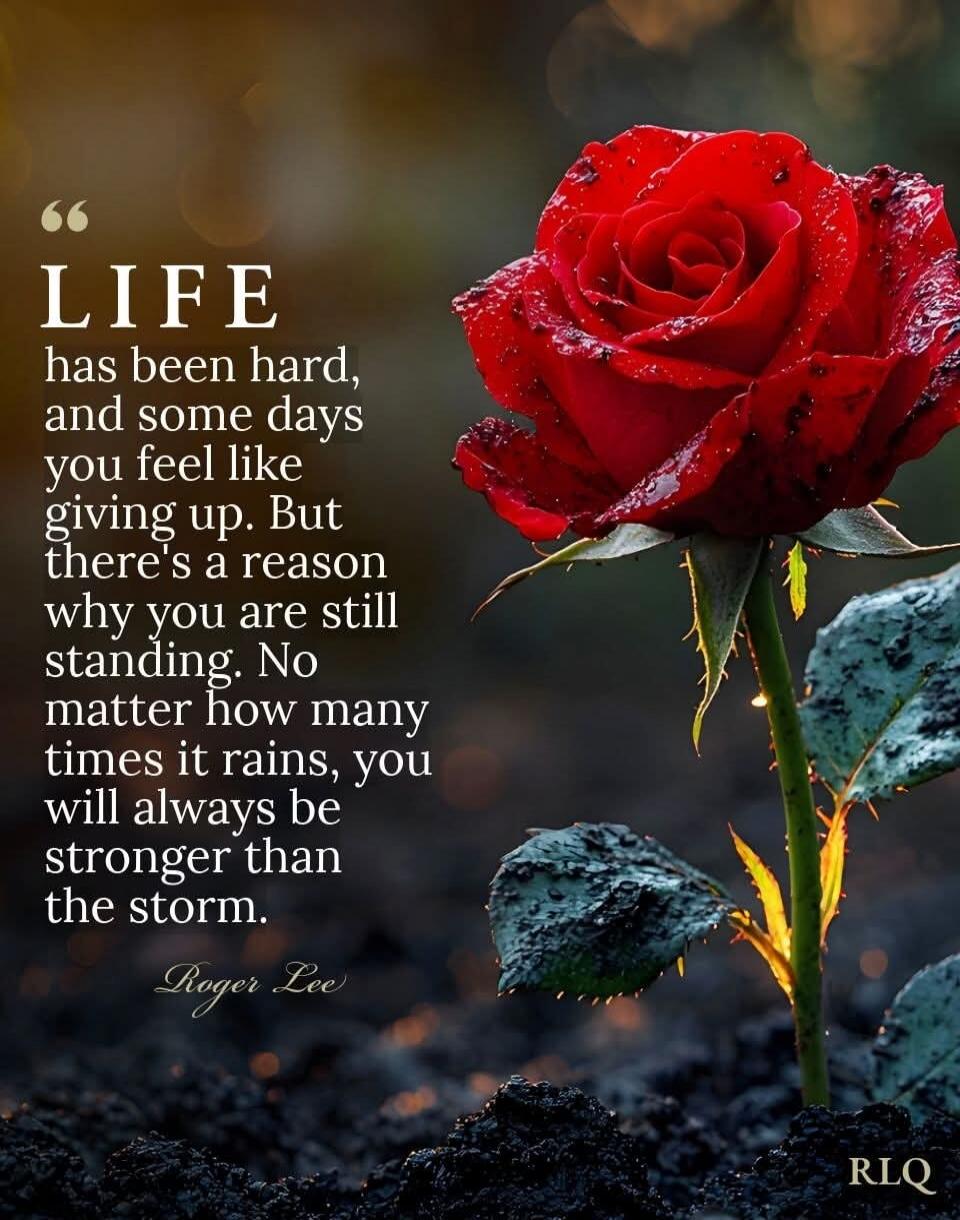 LIFE has been hard, and some days you feel like giving up. But there's a reason why you are still standing. No matter how many times it rains, you will always be stronger than the storm. Roger Lee