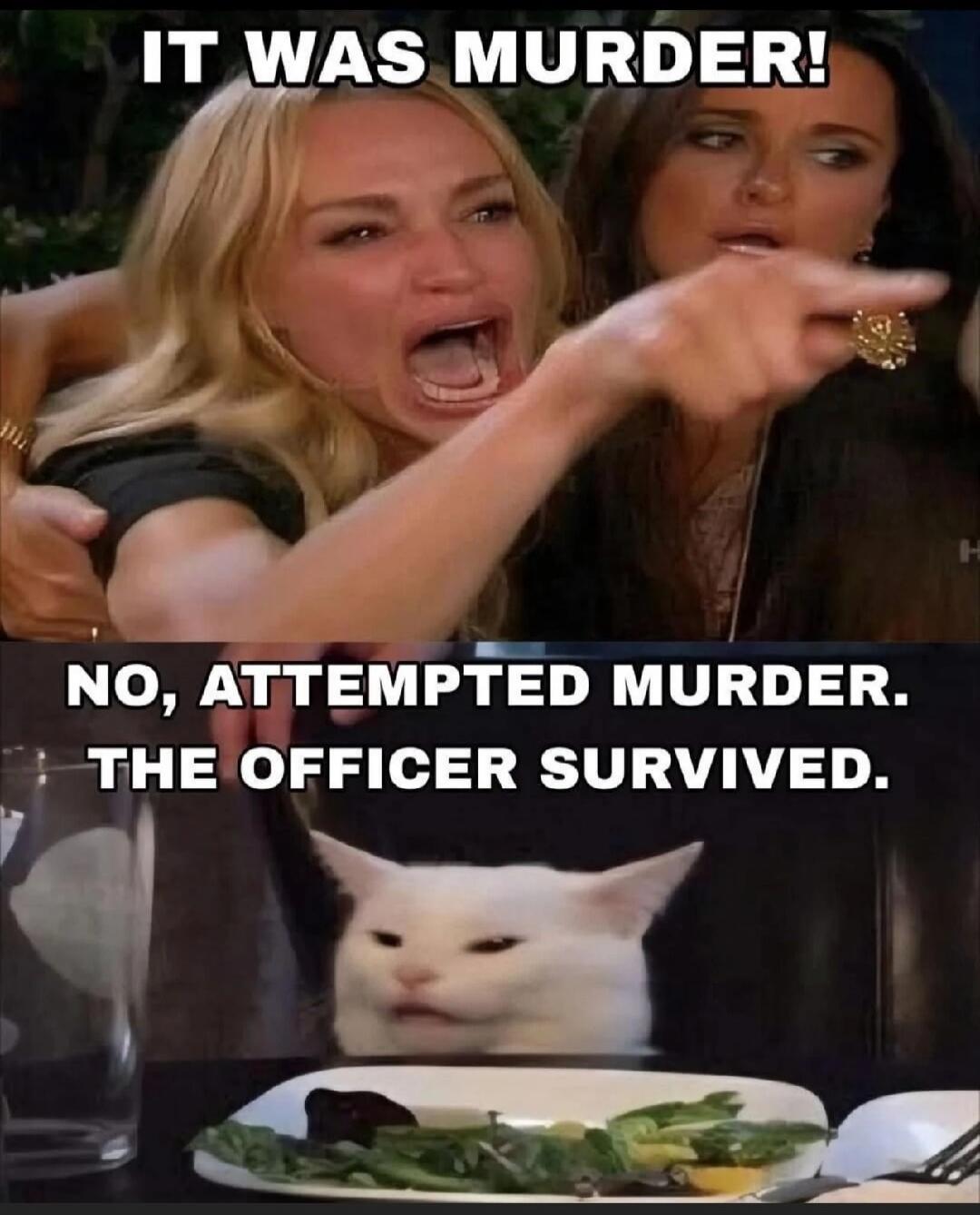 IT WAS MURDER! NO, ATTEMPTED MURDER, THE OFFICER SURVIVED.