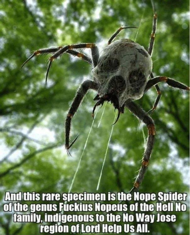 i 47 And this rare specimen isthe Nope Spider ofjthe genus Fisckius Nopeus of theHell No ramily indigenous to the No Way lose region of Lord Help Us All