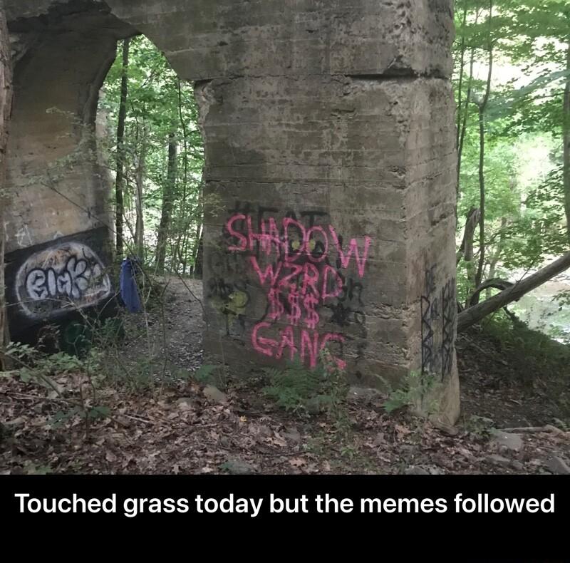 Touched grass today but the memes followed