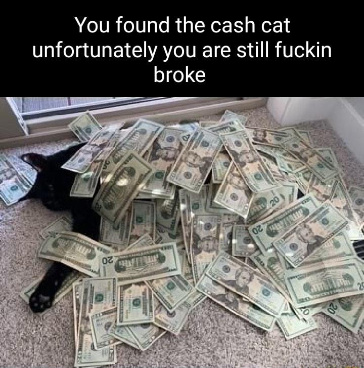 You found the cash cat unfortunately you are still fuckin