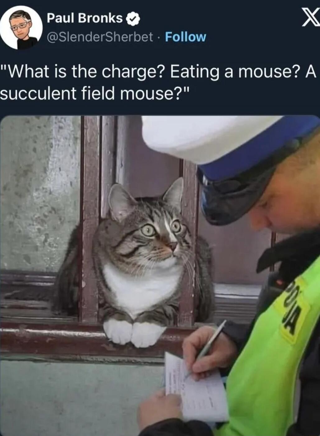 Paul Bronks @SlenderSherbet • Follow
