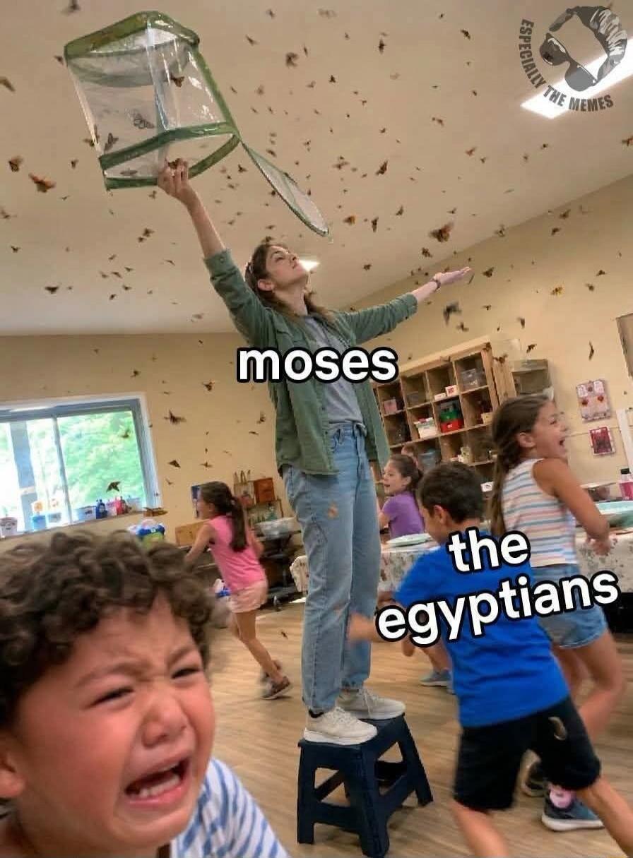 moses the egyptians ESPECIALLY THE MEMES