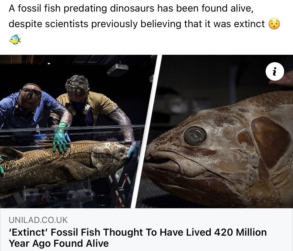 A fossil fish predating dinosaurs has been found alive despite scientists previously believing that it was extinct 9 UNILADCOUK Extinct Fossil Fish Thought To Have Lived 420 Million Year Ago Found Alive