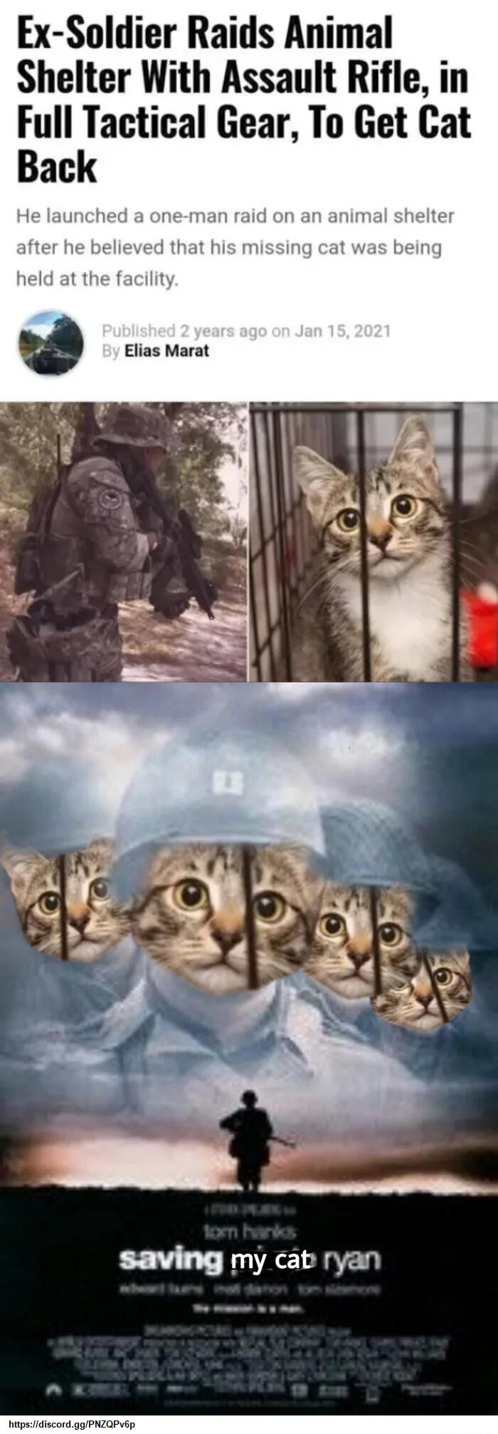 Ex Soldier Raids Animal Shelter With Assault Rifle in Full Tactical Gear To Get Cat Back JRE