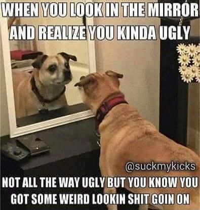 WHEN YOU LOOK IN THE MIRROR AND REALIZE YOU KINDA UGLY NOT ALL THE WAY UGLY BUT YOU KNOW YOU GOT SOME WEIRD LOOKIN SHIT GOIN ON @suckmykicks