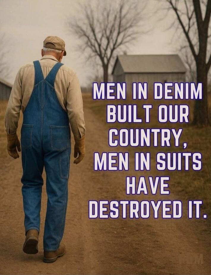 MEN IN DENIM BUILT OUR COUNTRY, MEN IN SUITS HAVE DESTROYED IT.