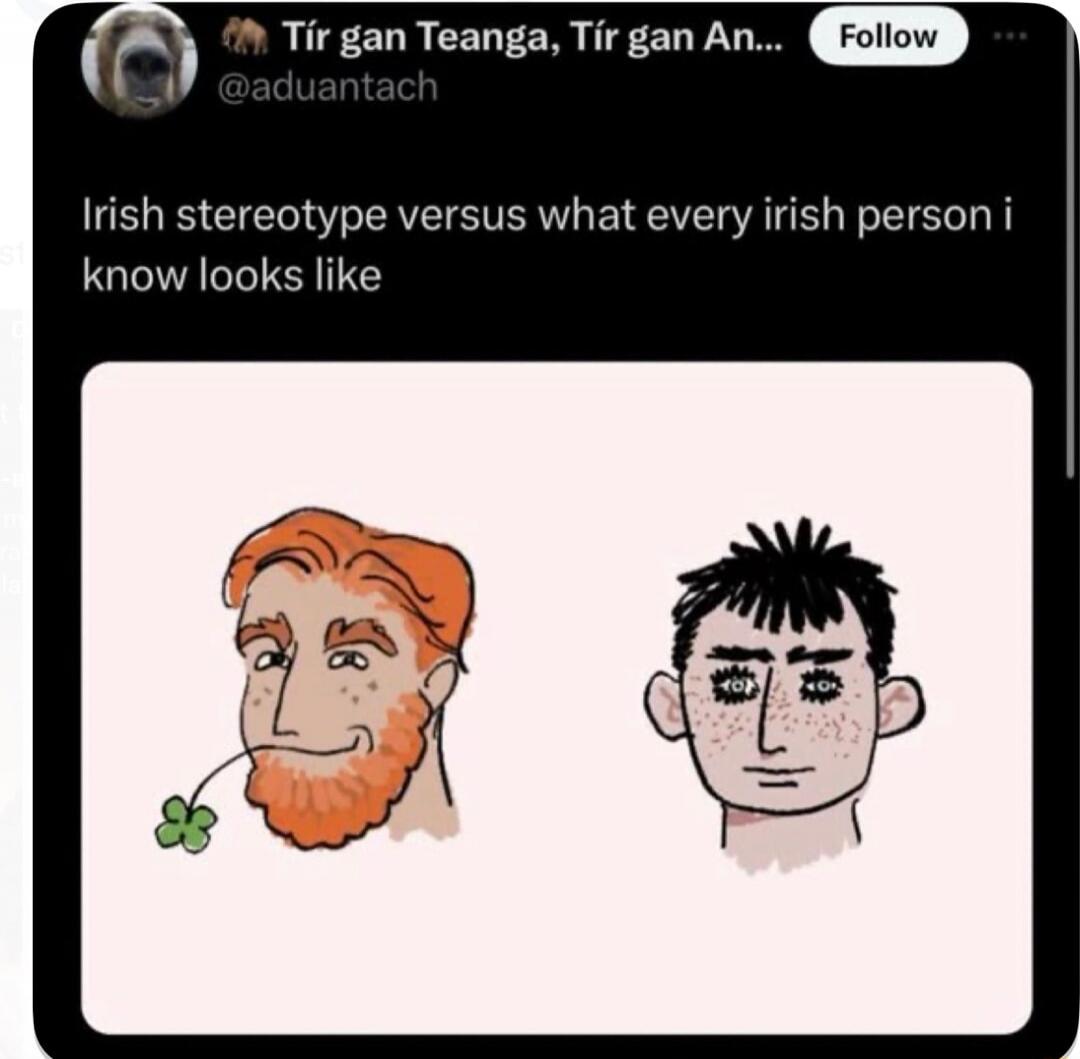 Irish stereotype versus what every Irish person I know looks like