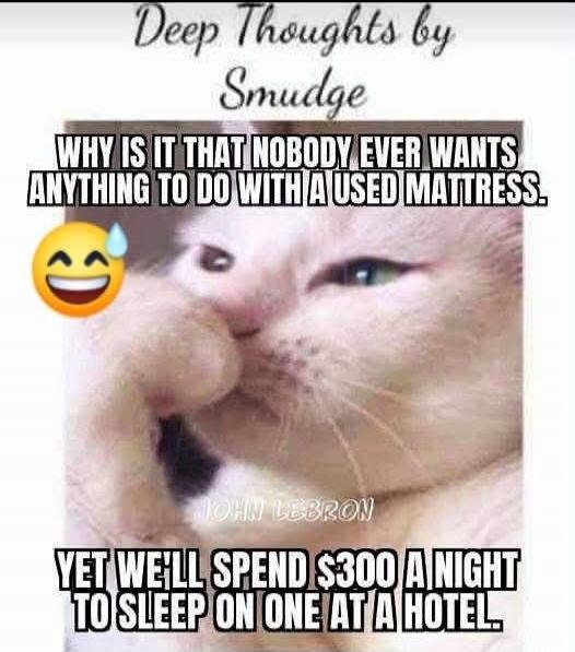 Deep Thoughts by Smudge WHY IS IT THAT NOBODY EVER WANTS ANYTHING TO DO WITH A USED MATTRESS. YET WE'LL SPEND $300 A NIGHT TO SLEEP ON ONE AT A HOTEL.