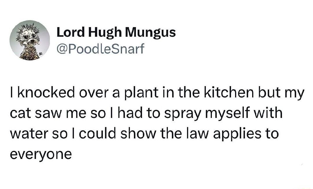Lord Hugh Mungus PoodleSnarf I knocked over a plant in the kitchen but my cat saw me so had to spray myself with water so could show the law applies to everyone