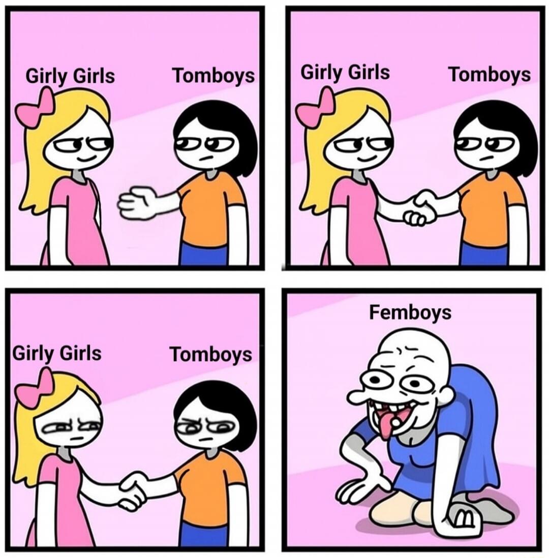 Panel 1: Girly Girls vs Tomboys. Panel 2: Girly Girls and Tomboys shake hands. Panel 3: Girly Girls and Tomboys shake hands. Panel 4: Femboys.