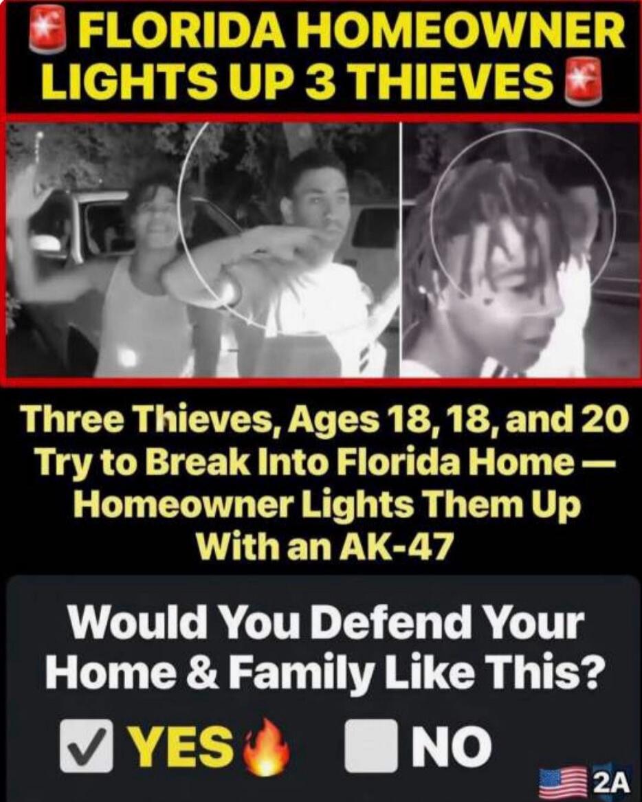 FLORIDA HOMEOWNER LIGHTS UP 3 THIEVES Three Thieves, Ages 18, 18, and 20 Try to Break Into Florida Home — Homeowner Lights Them Up With an AK-47 Would You Defend Your Home & Family Like This? YES NO 2A