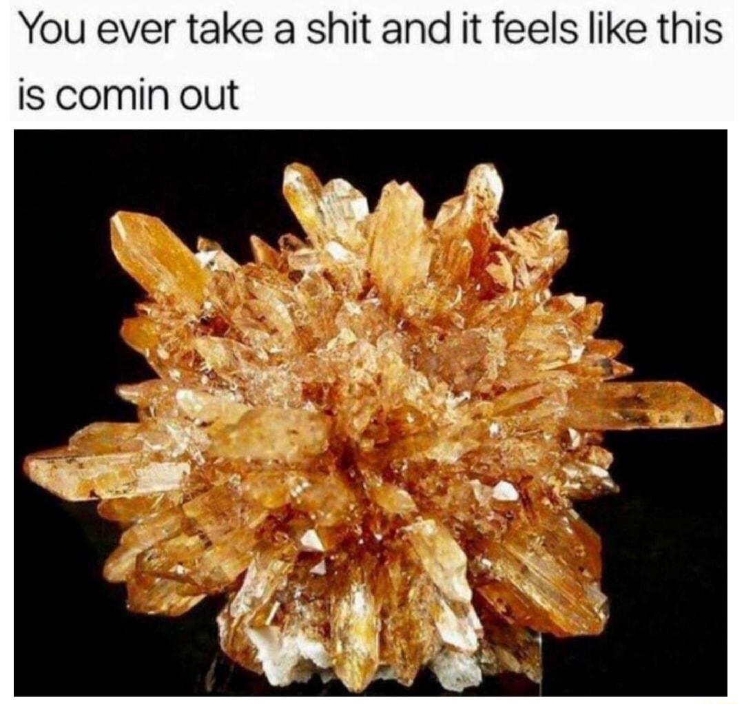 You ever take a shit and it feels like this IS comin out