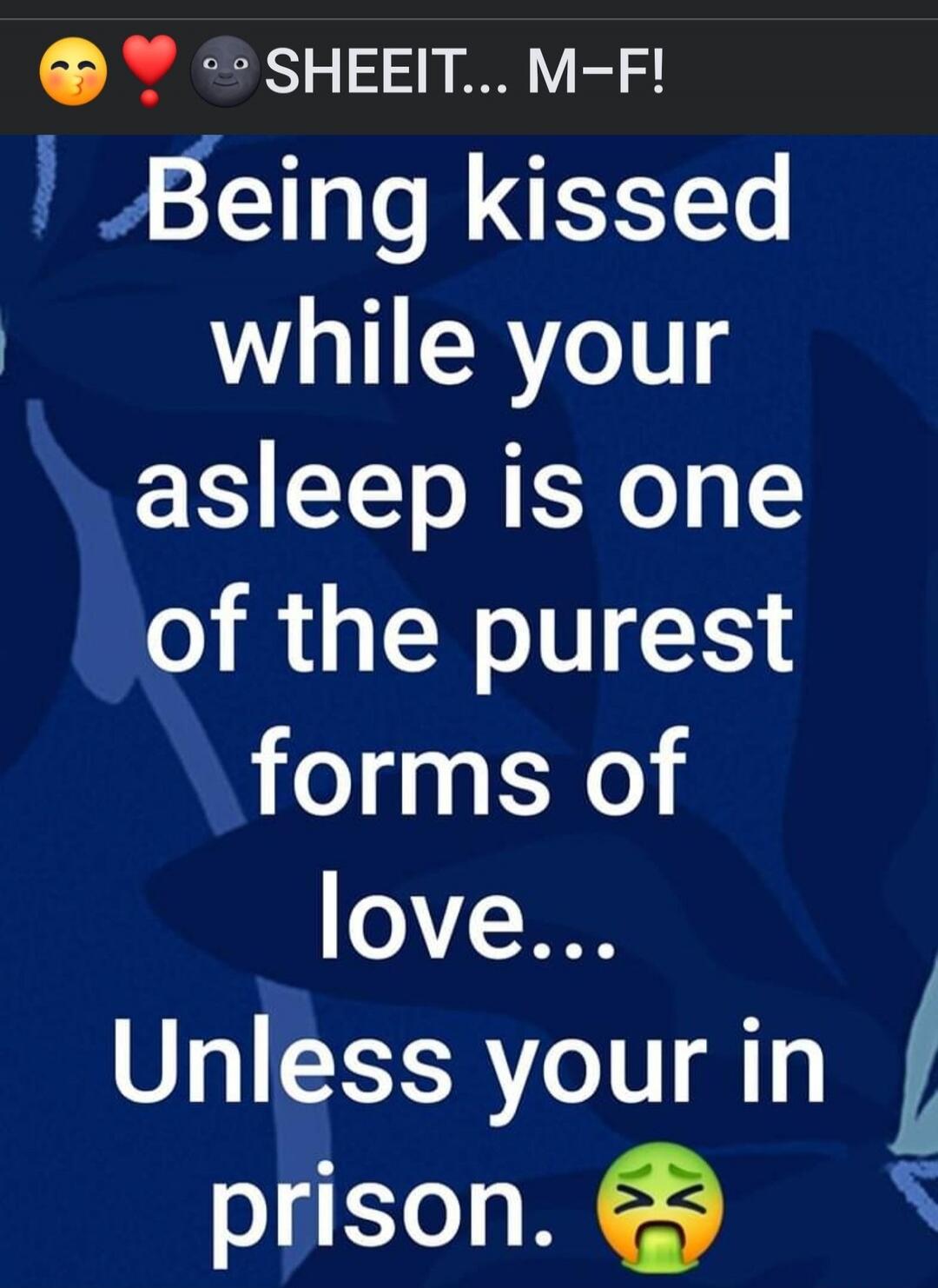 SHEEIT... M-F! Being kissed while your asleep is one of the purest forms of love... Unless your in prison.