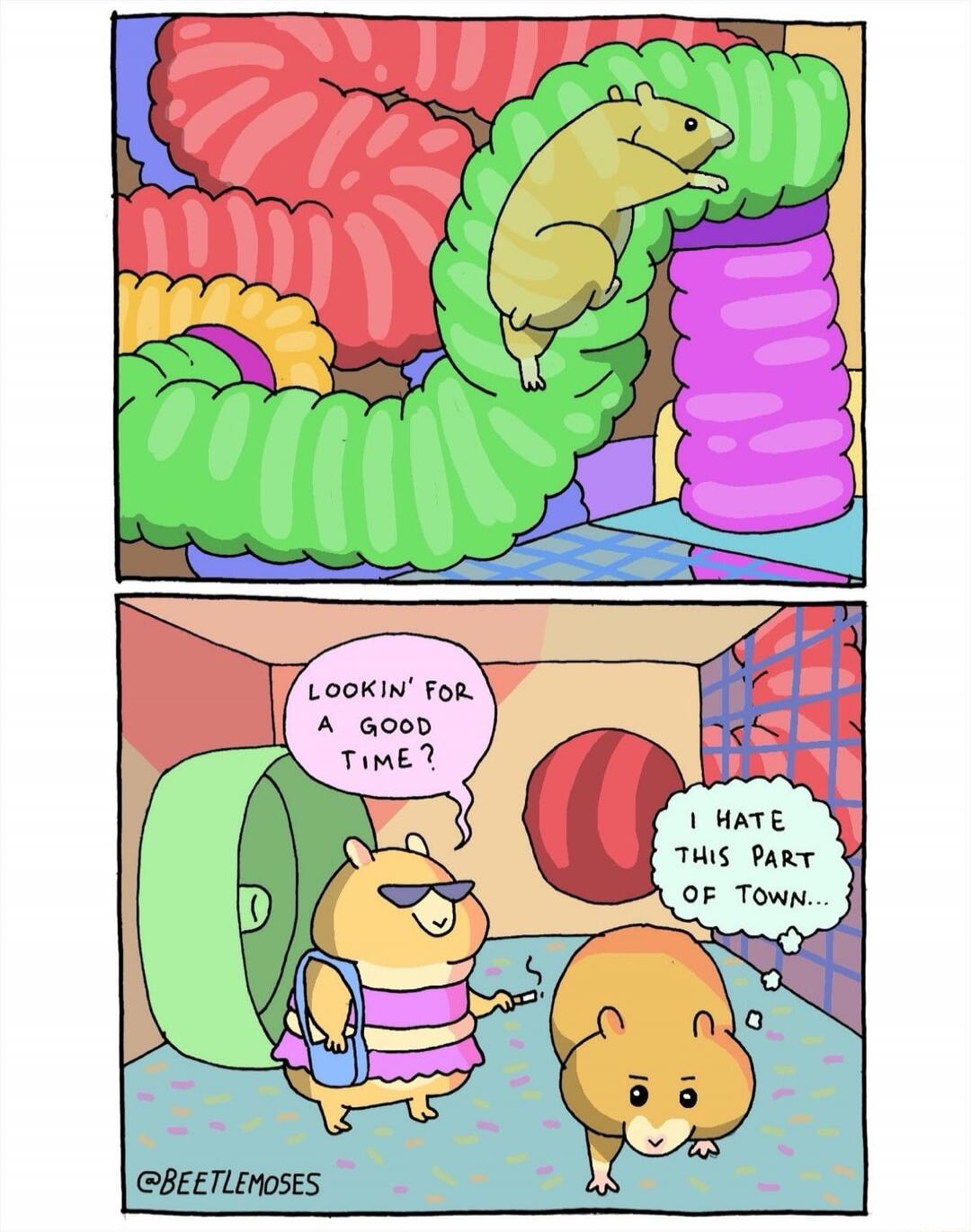 LOOKIN' FOR A GOOD TIME? I HATE THIS PART OF TOWN...