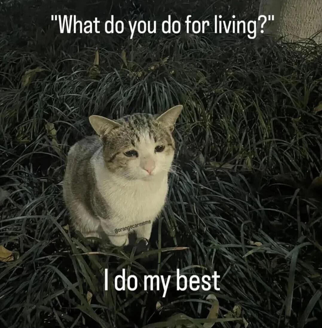 What do you do for living? I do my best