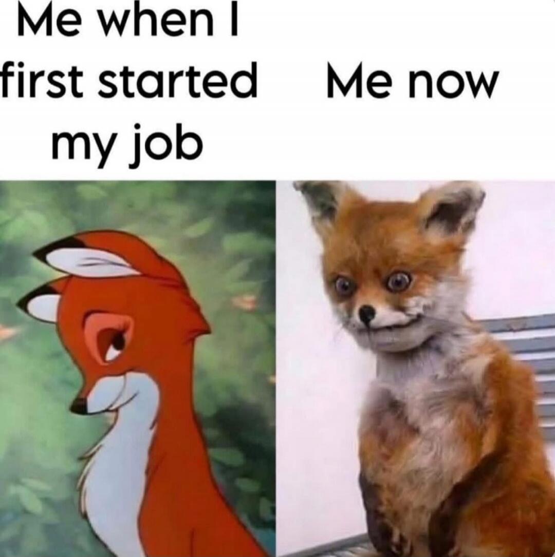 Me when I first started my job
Me now