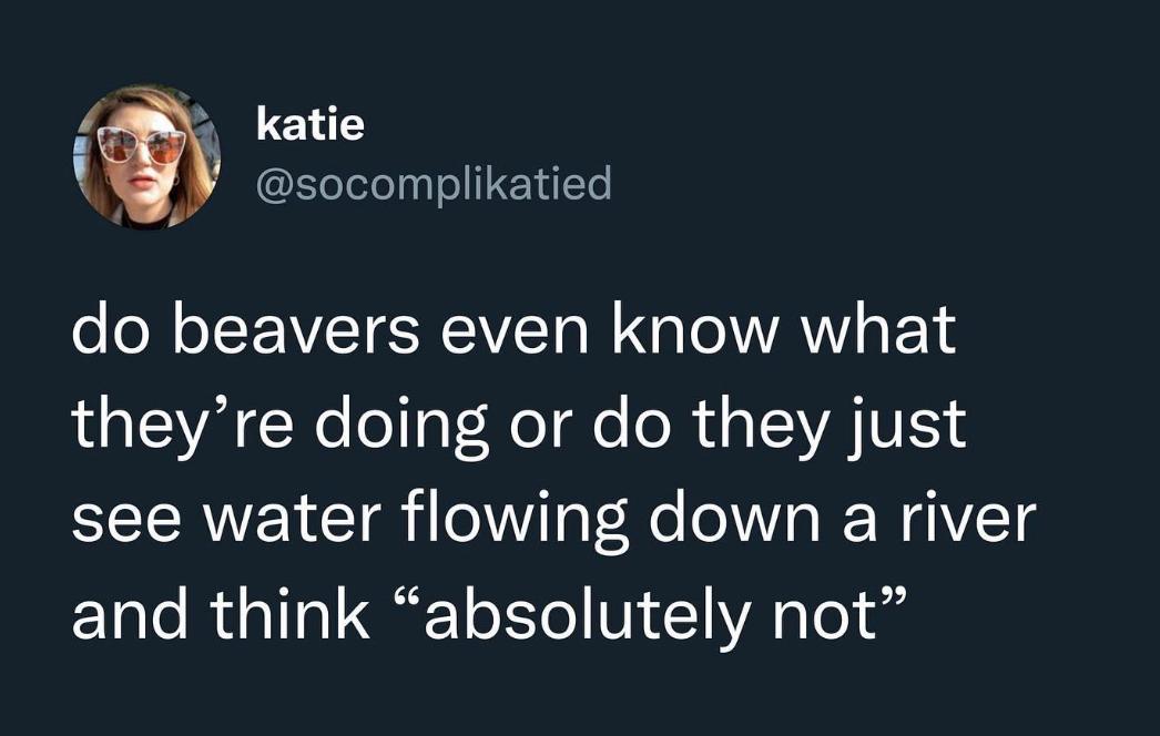 o katie X socomplikatied do beavers even know what theyre doing or do they just see water flowing down a river and think absolutely not