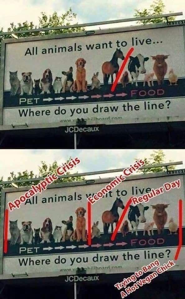 ant to live All animals W