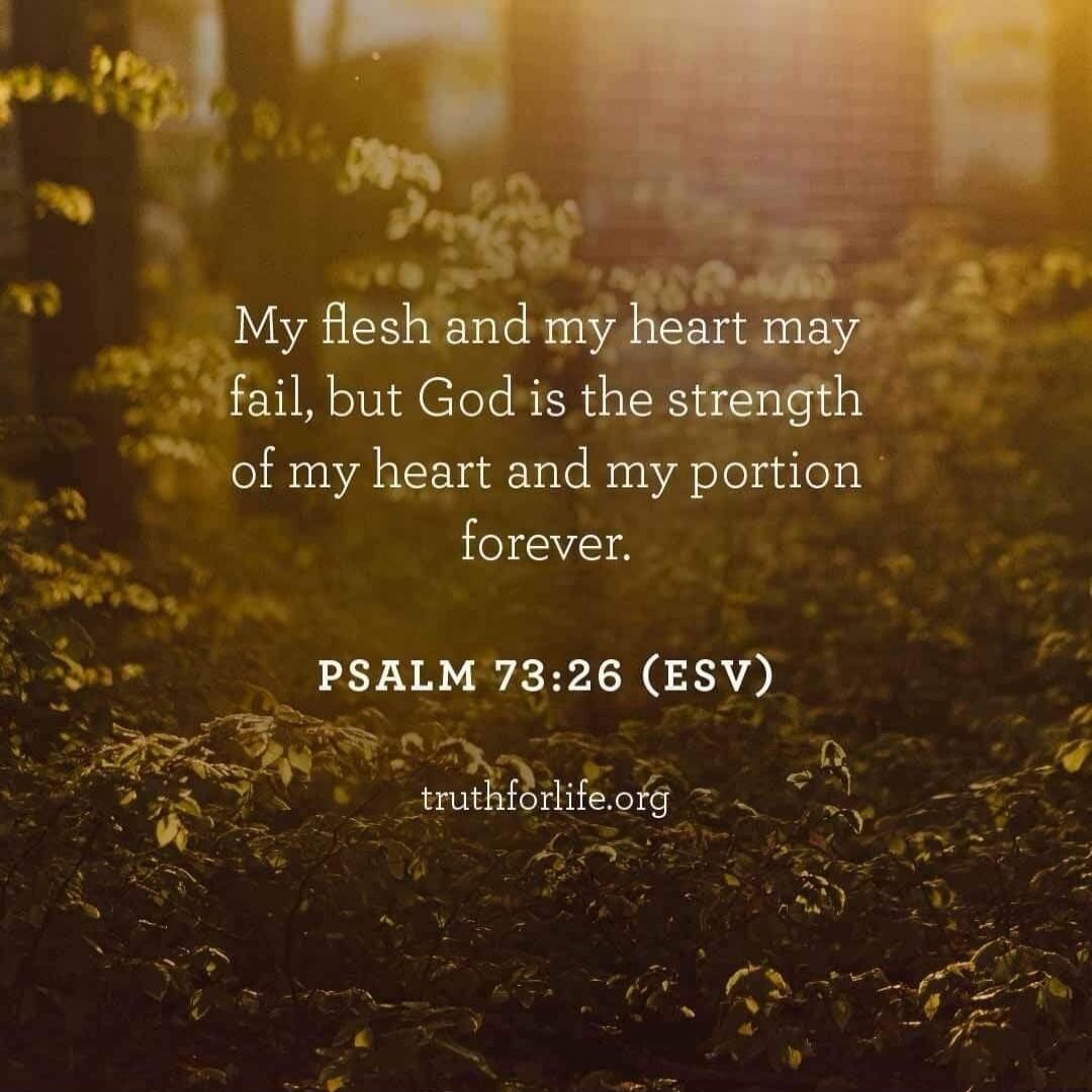 My flesh and my heart may fail, but God is the strength of my heart and my portion forever.

PSALM 73:26 (ESV)

truthforlife.org