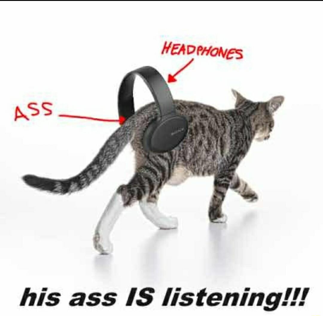 his ass IS listening