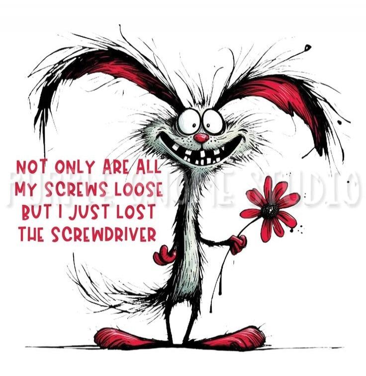 NOT ONLY ARE ALL MY SCREWS LOOSE BUT I JUST LOST THE SCREWDRIVER