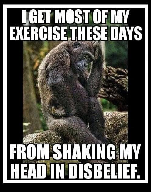 I GET MOST OF MY EXERCISE THESE DAYS FROM SHAKING MY HEAD IN DISBELIEF.