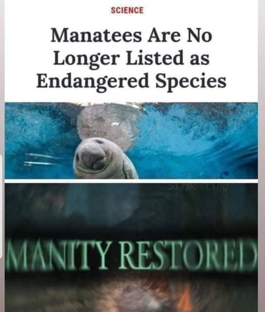 scI E Manatees Are No Longer Listed as Endangered Species