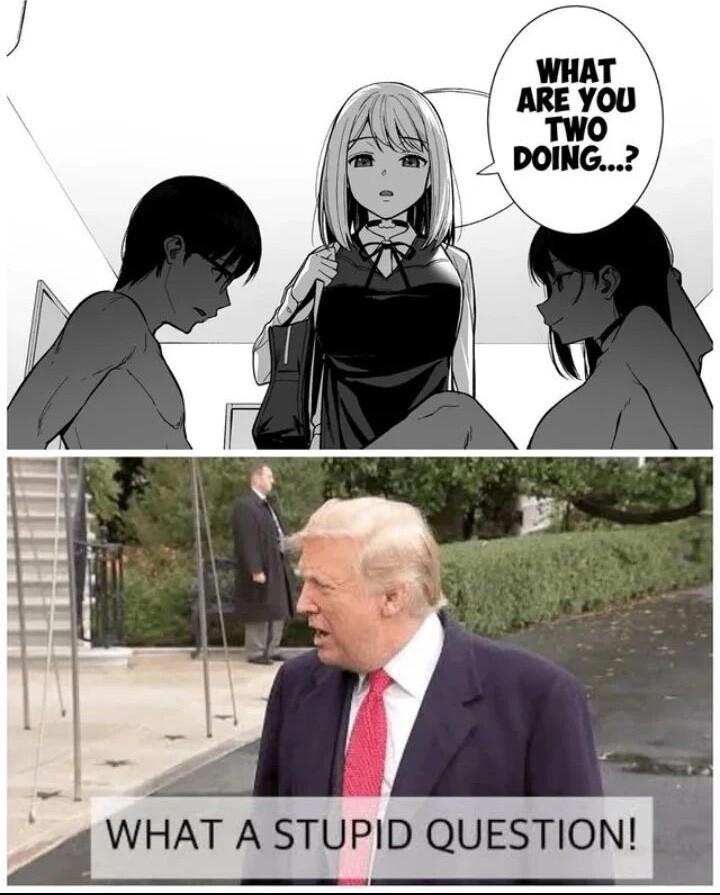 if WHAT A STUPID QUESTION