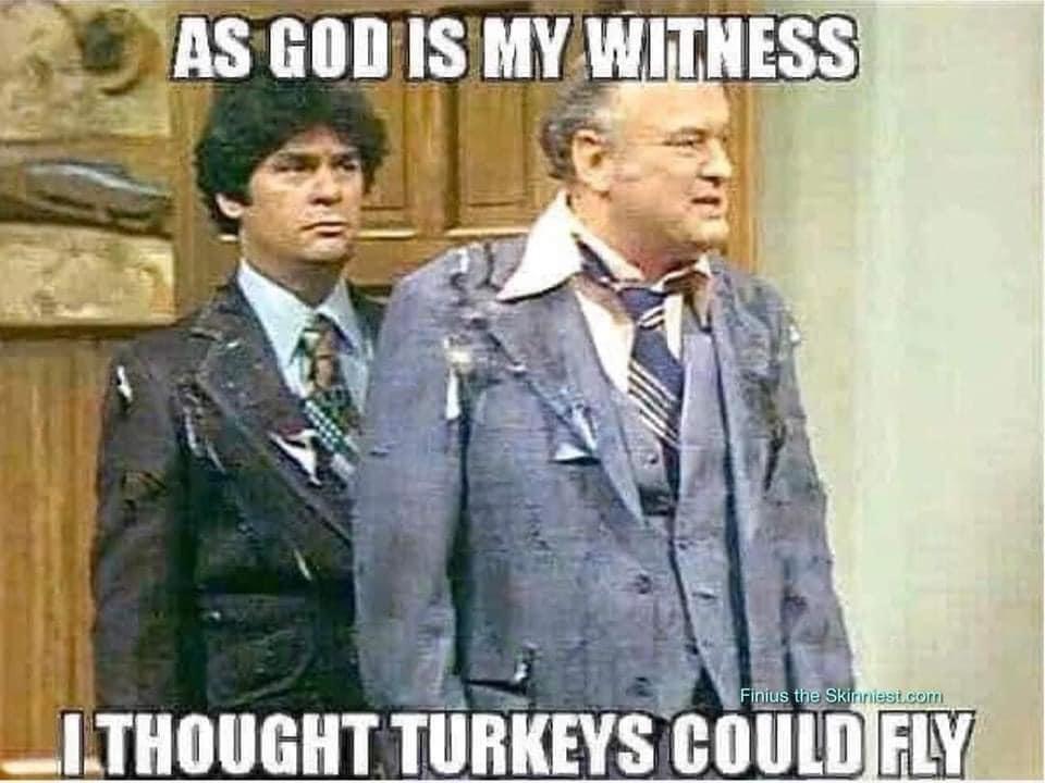 S MR ATIESS e Tlq _ I THOUGHT TURKEYS COULD 17