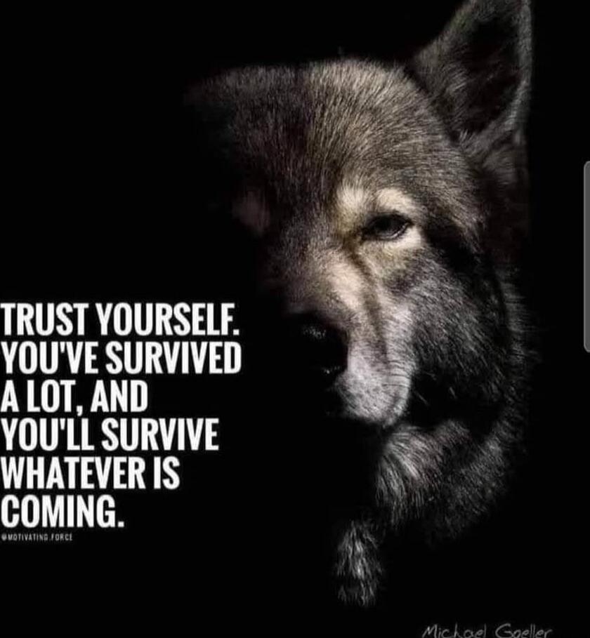 TRUST YOURSELF. YOU'VE SURVIVED A LOT, AND YOU'LL SURVIVE WHATEVER IS COMING.
