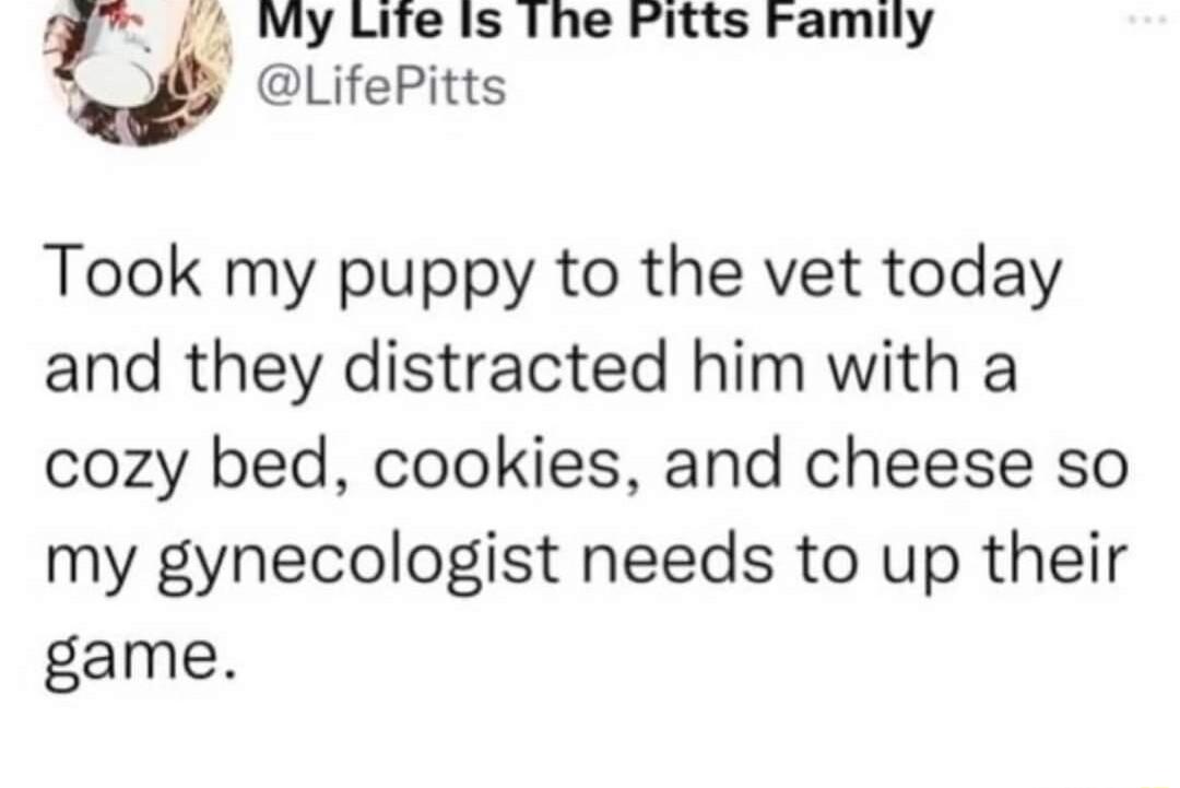 Ly MY Ute s The Fitts Family LifePitts Took my puppy to the vet today and they distracted him with a cozy bed cookies and cheese so my gynecologist needs to up their game