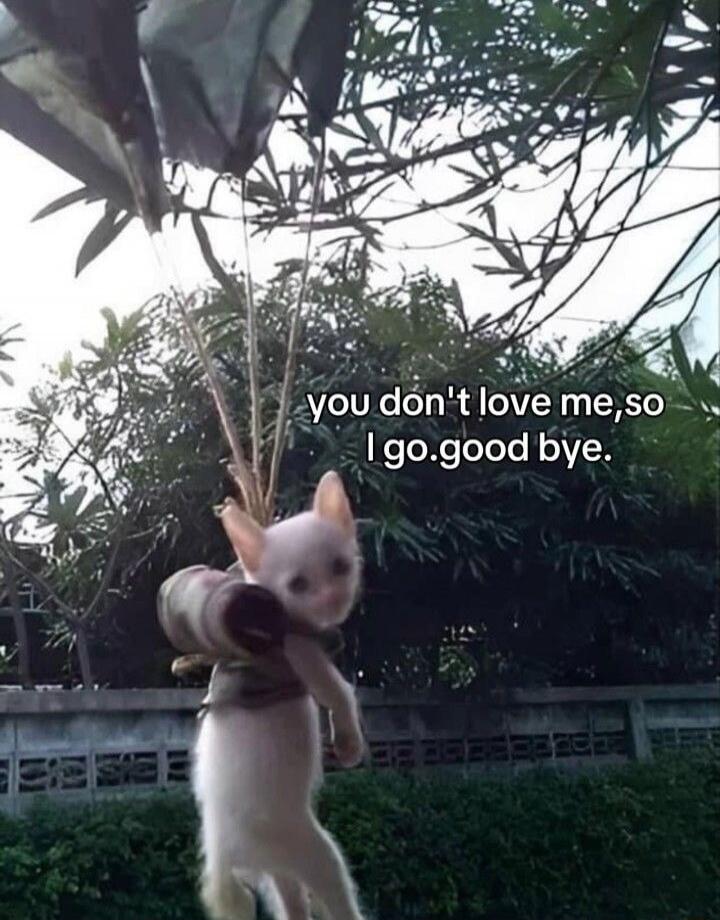 you don't love me, so I go.good bye.