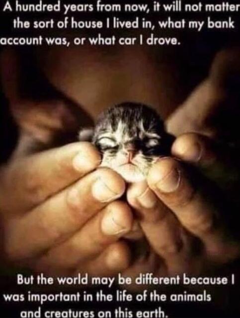 A hundred years from now, it will not matter the sort of house I lived in, what my bank account was, or what car I drove. But the world may be different because I was important in the life of the animals and creatures on this earth.