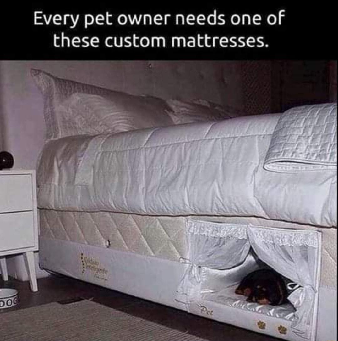 Every pet owner needs one of these custom mattresses