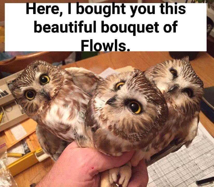 Here bought you this beautiful bouquet of