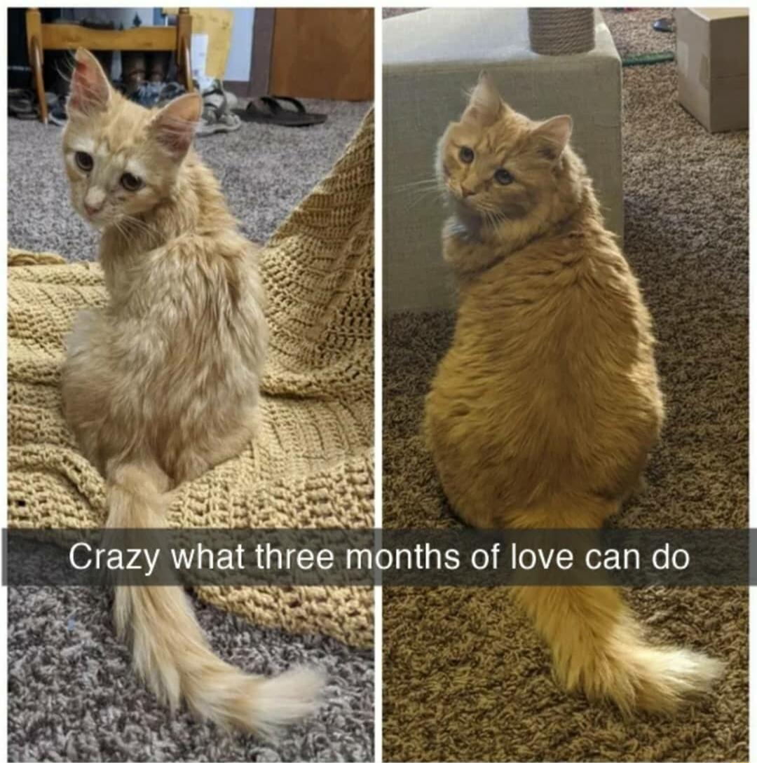 Crazy what three months of love can do