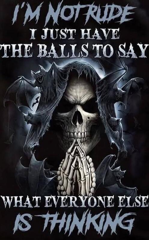 I'M NOT RUDE I JUST HAVE THE BALLS TO SAY WHAT EVERYONE ELSE IS THINKING