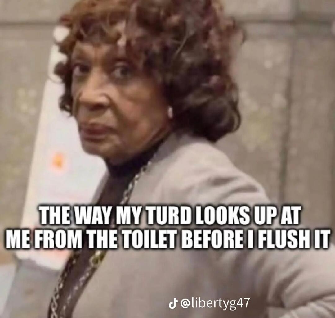 THE WAY MY TURD LOOKS UP AT ME FROM THE TOILET BEFORE I FLUSH IT