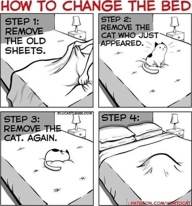 HOW TO CHANGE THE BED OLD SHEETS