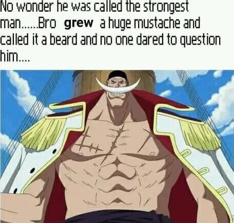 ND wonaer Ne was called the sirongest manBro grew ahuge mustache and called it 3 beard and no one dared to question him